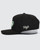 New Pickled Snapback Hat 11805-354PKLDOGHAT View 2