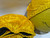 Used Champro HELMET PINNIES Football Accessory Yellow 11904-S000010530 View 2