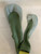 Used Top Flite COVER COMBO Golf Accessory 11823-S000040005 View 2
