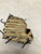 Used Z GLOVES Z AMERICAN KIP BB/SB Glove RH Throw Tan 11 3/4" 11668-S000121448 View 2