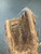 Used Rawlings SL115MT BB/SB Glove RH Throw Brown 11 1/2" 11726-S000297547 View 3