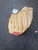 Used Rawlings RBG36 BB/SB Glove RH Throw Brown 12" 11726-S000297548 View 2