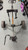 Used 2 WHEEL CART Golf Cart 2 Wheel 11307-S000266295 View 2