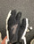 Used Brine KING Lacrosse Gloves Junior None XS 11162-S000457583 View 3
