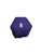 Used PURPLE RUBBER DUMBELL Hex Dumbbell (Each) Purple 8 lb 11884-S000065572 View 2