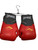 Used Everlast Boxing Gloves Red LG 11884-S000065582 View 1