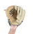 Used Adidas EASY CLOSE BB/SB Glove T-ball Brown 9 1/2" 11749-S000204184 View 4