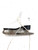 Used WinnWell FIGURE SKATE WomensFigure Skate White Senior 6 11860-S000310800 View 2