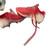 Used Under Armour BASEBALL CLEATS BB/SB Cleats Red And White Youth 11.0 11760-S000093209 View 2