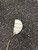 Used Ray Cook M1-3X Mens Putter RH 11162-C000457828 View 2