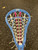 Used STX LILLY Wmn Atk/Mid Complete Stick Royal Blue 11162-S000457869 View 2
