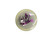 Used Discmania FD1 Disc Golf Driver None 11760-S000093251 View 1