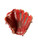 Used Rawlings RAWLINGS HEART OF THE HIDE 12.75IN RHT BB/SB Glove RH Throw Grey And Red 12 3/4" 11838-S000060586 View 1