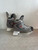 Used Bauer VAPOR XXXX Senior Hockey Skate Senior 7 11857-S000123600 View 1