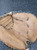 Used Rawlings RENEGADE BB/SB Catchers RH Throw Black 32 1/2" 11849-S000041193 View 1