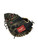Used Rawlings GG ELITE BB/SB Catchers RH Throw Black 32 1/2" 11884-S000065739 View 2