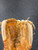 Used Wilson A2345 BB/SB Glove RH Throw Brown 12" 11726-S000297740 View 3