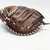 Used Easton CORE GFP 2000 BB/SB Catchers RH Throw Brown 33" 11805-S000083258 View 3