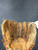 Used Rawlings RBG36 BB/SB Glove RH Throw Brown 12" 11726-S000297758 View 3