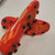 Used Adidas ADIZERO F30 Soccer Cleats Orange Senior 8.5 11877-S000022407 View 2
