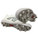 Used New Balance 4040V7 YOUTH RUBBER-MOLDED BB/SB Cleats White Senior 5.5 11347-S000271386 View 3