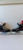 Used CCM JETSPEED Junior Hockey Skate Junior 01 11858-S000090431 View 1