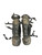 Used All Star LG1216PS Catchers Leg Guards Black Intermed 11768-S000237669 View 1