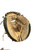 Used All-Star CM3000SBT PRO ELITE BB/SB Catchers RH Throw Brown 34" 11825-S000040928 View 1