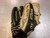 Used 44 PRO 44 BB/SB Glove LH Throw Black 11 1/2" 11339-S000203659 View 1
