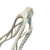 Used STX HAMMER Mens Lacrosse Head White 11484-S000306838 View 4