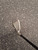 Used Callaway XR Mens Individual Iron RH 7 Iron 11162-S000458202 View 3