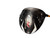 Used Taylormade R9 SUPERTRI Mens Driver RH 10.5 Degree 11307-S000266458 View 1