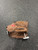 Used Rawlings P125BFL BB/SB Glove RH Throw Brown 12 1/2" 11726-S000297932 View 1