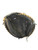 Used Rawlings GG BB/SB Catchers RH Throw Black 32 1/2" 11937-S000091245 View 1