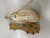 Used Under Armour HARPER BB/SB Cleats White Senior 8.5 11882-S000026932 View 1