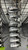 Used Snake Eyes 685OS Mens Iron Set RH 4I-PW 11477-S000214456 View 2