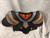 Used Bauer ONE.4 SP Senior Shoulder Pads MD 11774-S000088956 View 1