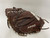 Used Wilson A900 A09RB18CM34 BB/SB Catchers RH Throw Brown 34" 11703-S000214125 View 1