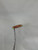 Used Nike Jr Putter RH 11871-S000031191 View 3