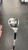 Used Taylormade RBZ Mens Hybrid Club RH 3 Hybrid 11831-S000034196 View 1