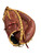 Used Rawlings SANDLOT BB/SB Catchers RH Throw Brown 33" 11745-S000195173 View 1
