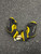 Used Easton RS Youth Elbow Pads LG 11162-S000458374 View 1