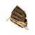 Used Mizuno GCP 79S BB/SB Glove RH Throw Brown 12 3/4" View 3