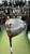 Used Taylormade QI 35 Mens Driver LH 10.5 Degree 11477-S000214610 View 1