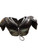 Used Champro SCORPION 130-150 FB Shoulder Pads Black XL 11812-S000171393 View 1