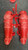 Used Rawlings CATCHERS SET Catchers Equipment Other 11831-S000034243 View 8
