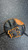 Used Primed FIELD TRAINER BB/SB Training Aid 11831-S000034246 View 2