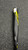 Used Easton S1 BB/SB USSSA 2 5/8 Bat 31" 11162-S000458521 View 6