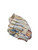 Used Rawlings ROBIN YOUNT BB/SB Glove RH Throw Brown 12" 11712-S000262342 View 2