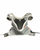 Used STX STALLION 1K Lacrosse Shoulder Pads White MD 11724-S000228418 View 1